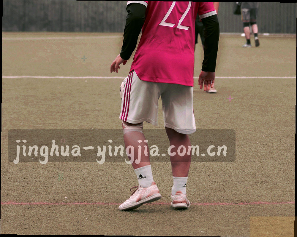 层叠的编年册页与书脊标签，侧面可见等宽期次编号，画面无人物